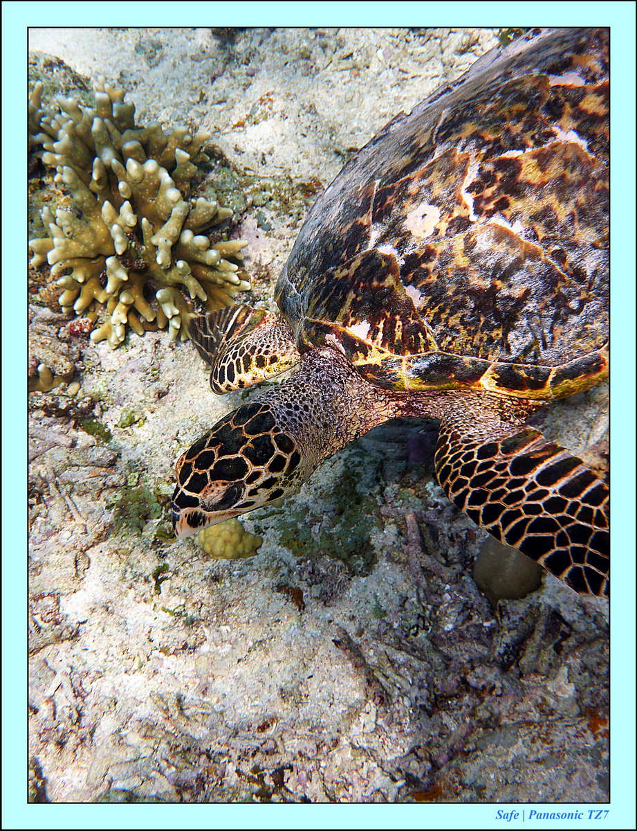 2012 - 07 - Gili - 80